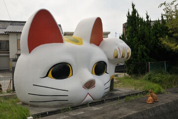 とこにゃん とこにゃん