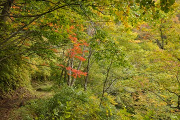 玉田渓谷遊歩道