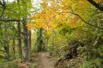 玉田渓谷遊歩道