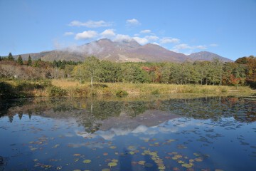 いもり池 いもり池