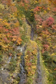そうめん滝 そうめん滝