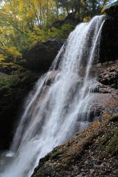 雷滝 雷滝