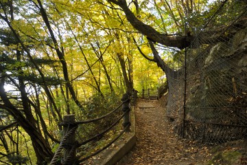 舞の道遊歩道 舞の道遊歩道