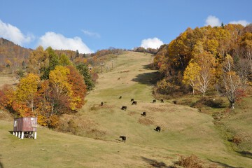 山田牧場 山田牧場