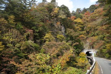 板敷渓谷入口周辺