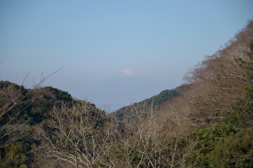 富士山 富士山