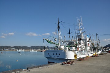 魚船 魚船