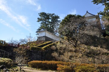 小田原城址公園 小田原城址公園