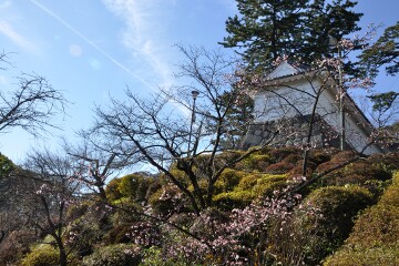 小田原城址公園 小田原城址公園