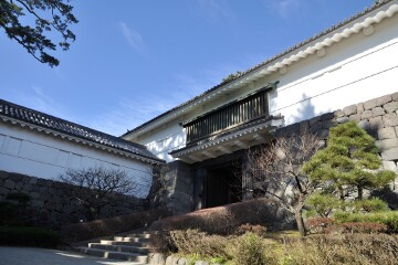 常盤木門 常盤木門