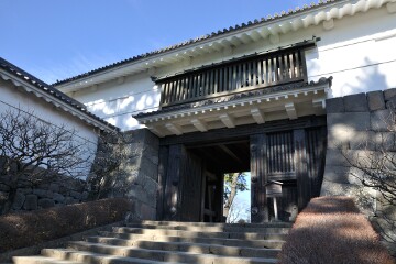 常盤木門 常盤木門