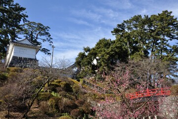 小田原城址公園 小田原城址公園