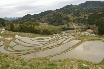 千枚田 千枚田