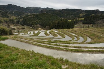 千枚田 千枚田