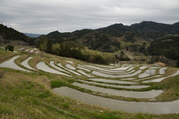 千枚田 千枚田