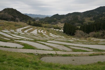 千枚田 千枚田