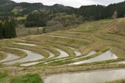 千枚田 千枚田