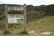 千枚田