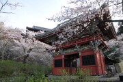 仁王門