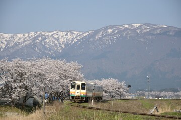 フラワー長井線
