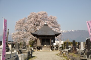称名寺阿弥陀堂