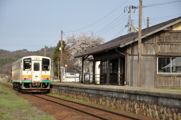 フラワーライナー