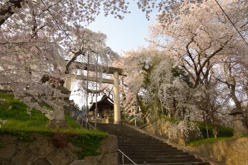 烏帽子山八幡宮