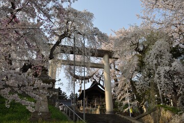 烏帽子山八幡宮