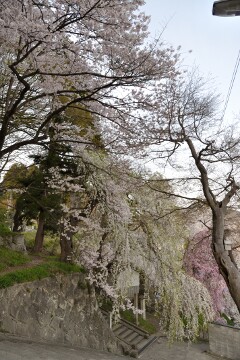 烏帽子山八幡宮
