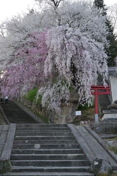烏帽子山八幡宮