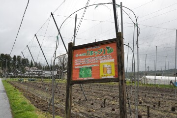 ホップの説明 ホップの説明