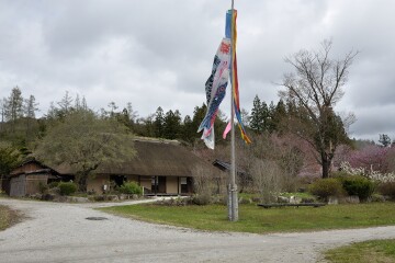 鯉のぼり 鯉のぼり