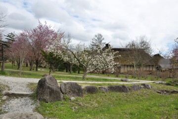 村の風景 村の風景