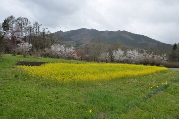 山里 山里