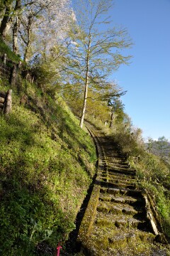 長い階段 長い階段