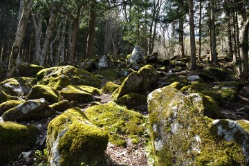 五百羅漢 五百羅漢