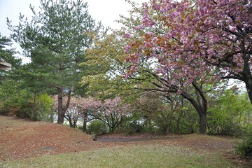 大平公園 大平公園