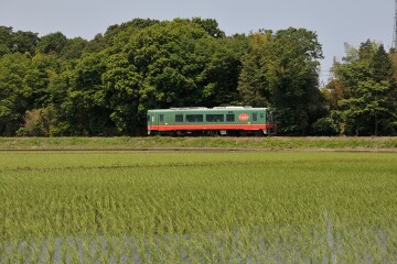 普通列車