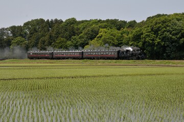 C12形蒸気機関車
