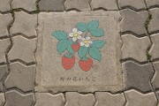 町の花 いちご
