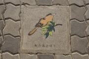 町の鳥 ひばり