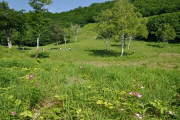 なだらかな斜面 なだらかな斜面