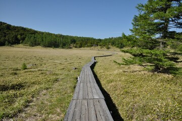 池ノ平湿原