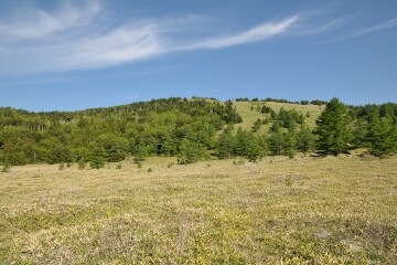 池ノ平湿原