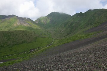 ムーミン谷の木道