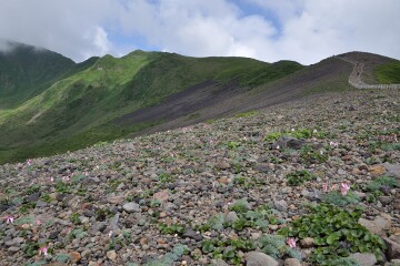 秋田駒ケ岳の山々