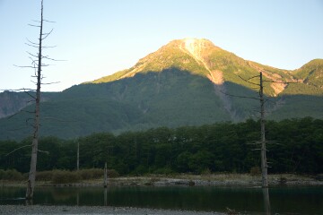 焼岳と立ち枯れの木 焼岳