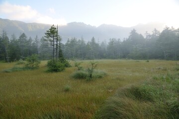 田代湿原 田代湿原