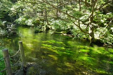 清流/></a>
<a href= 清流