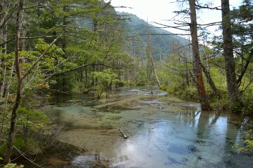 湧水 岳沢湿原